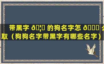 带黑字 🦁 的狗名字怎 🐘 么取（狗狗名字带黑字有哪些名字）